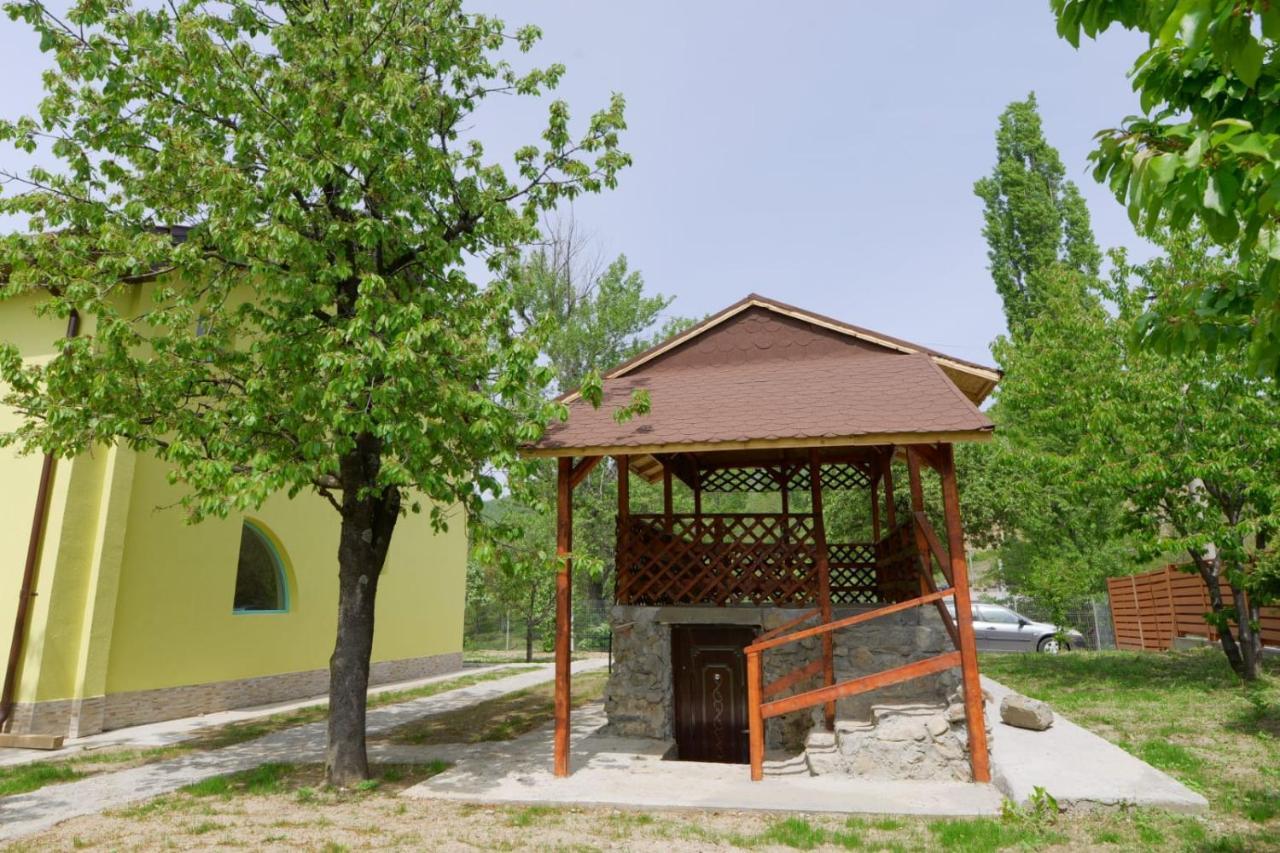 Pensiunea Happy Schitu Topolnitei Exterior foto